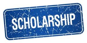 German Government DAAD Scholarships