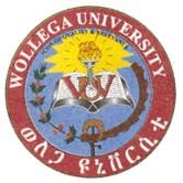 Wollega University Admission Requirements