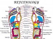 Reflexology Online Application Portal