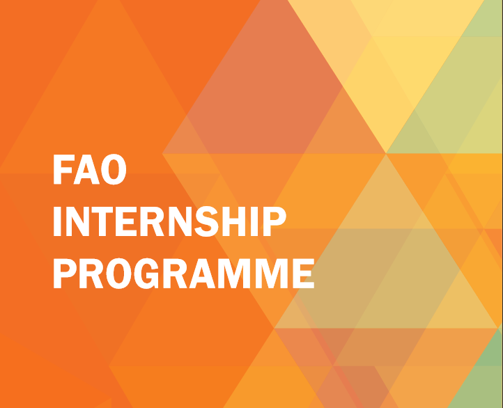 FAO HQ Internship Programme 2020