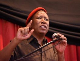 Julius Malema