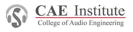 Check CAE College of Audio Engineering Application Status
