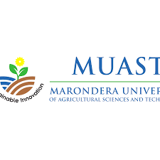 Marondera University