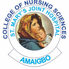 School of Nursing Amaigbo Exam Preparation Tips 2025/2026