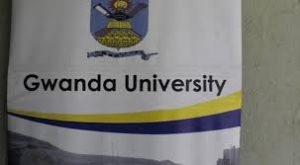 Gwanda State University Admission Requirements