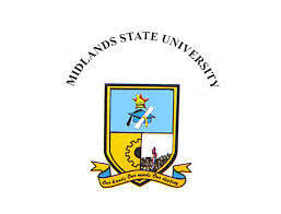 Midlands State University Intake Form