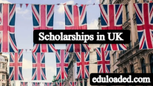 University of Bristol Think Big Scholarship