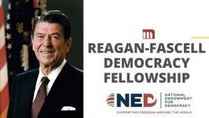 Reagan Fascell Democracy Fellowship